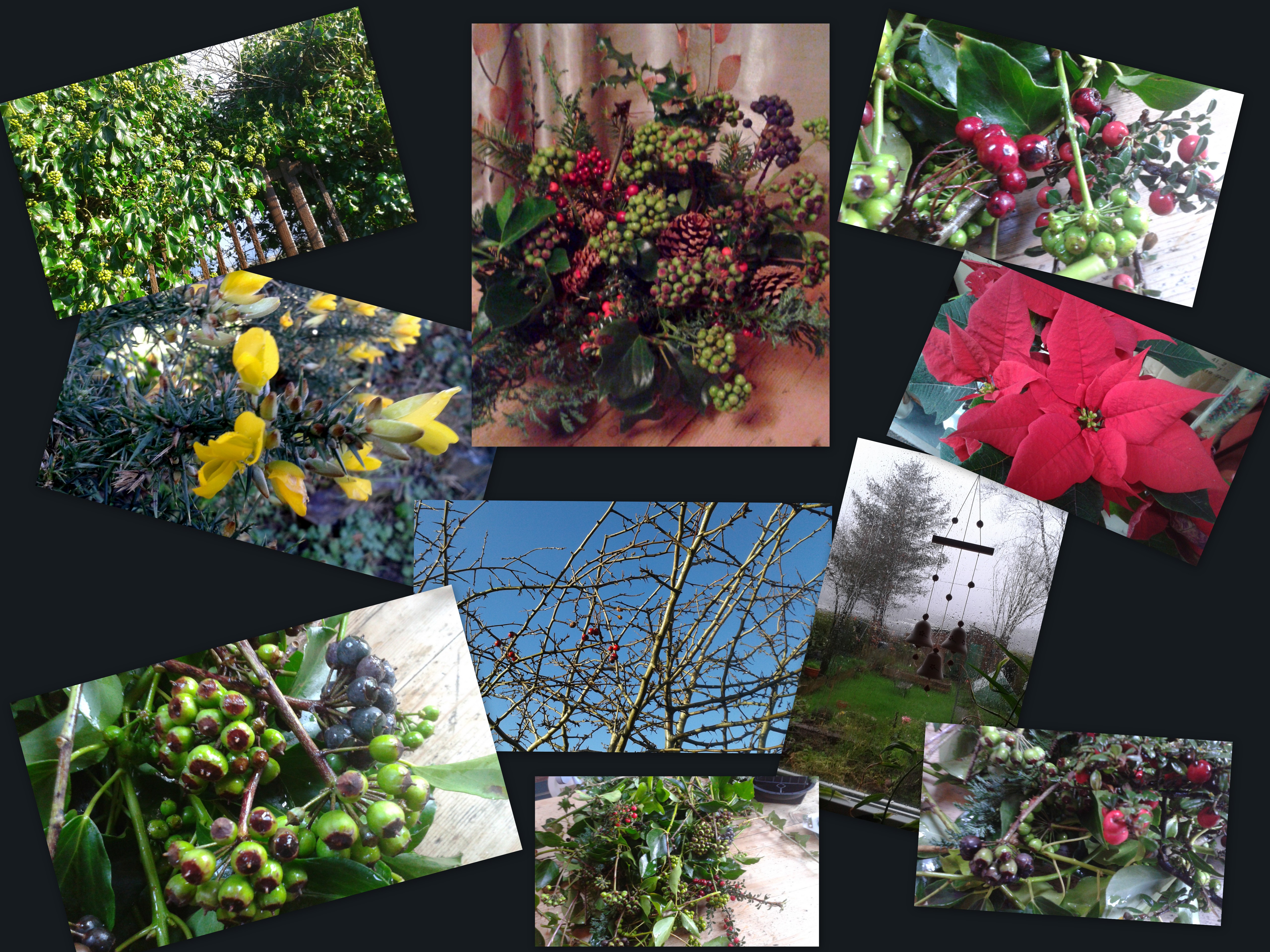 End of year 2015 in nature