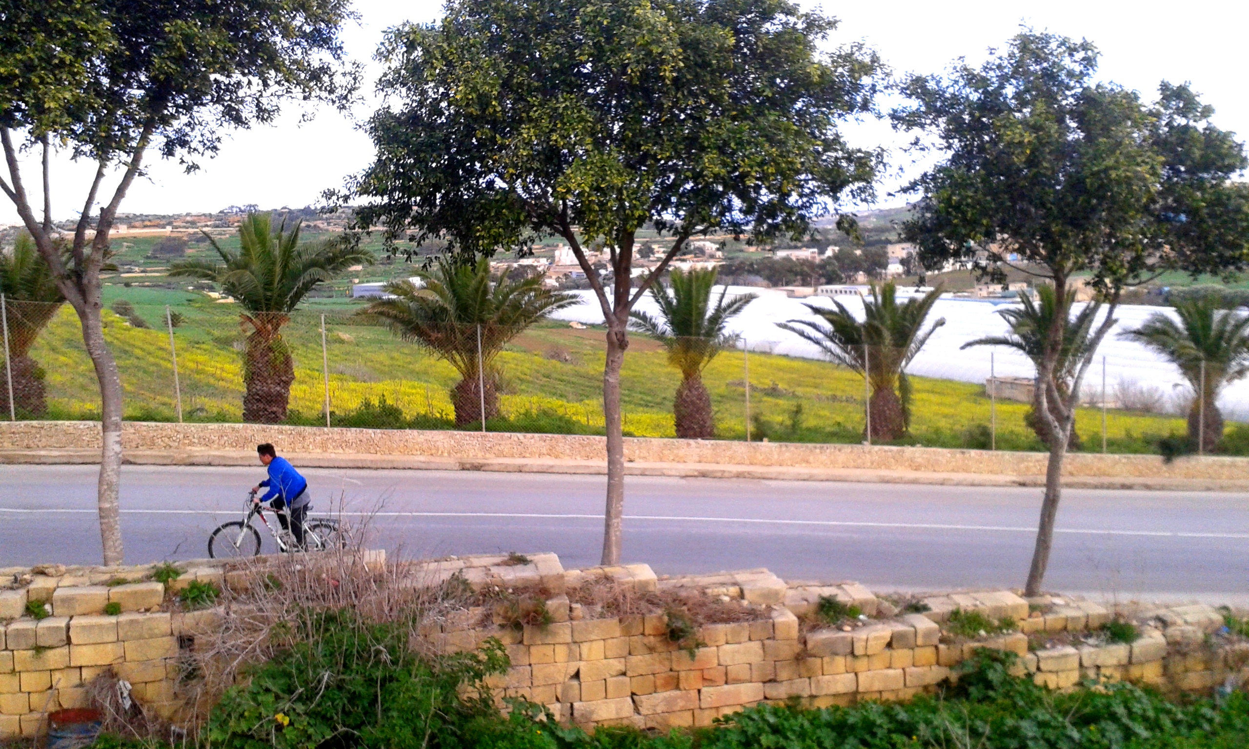 2017-01-17-13-18-48-copy