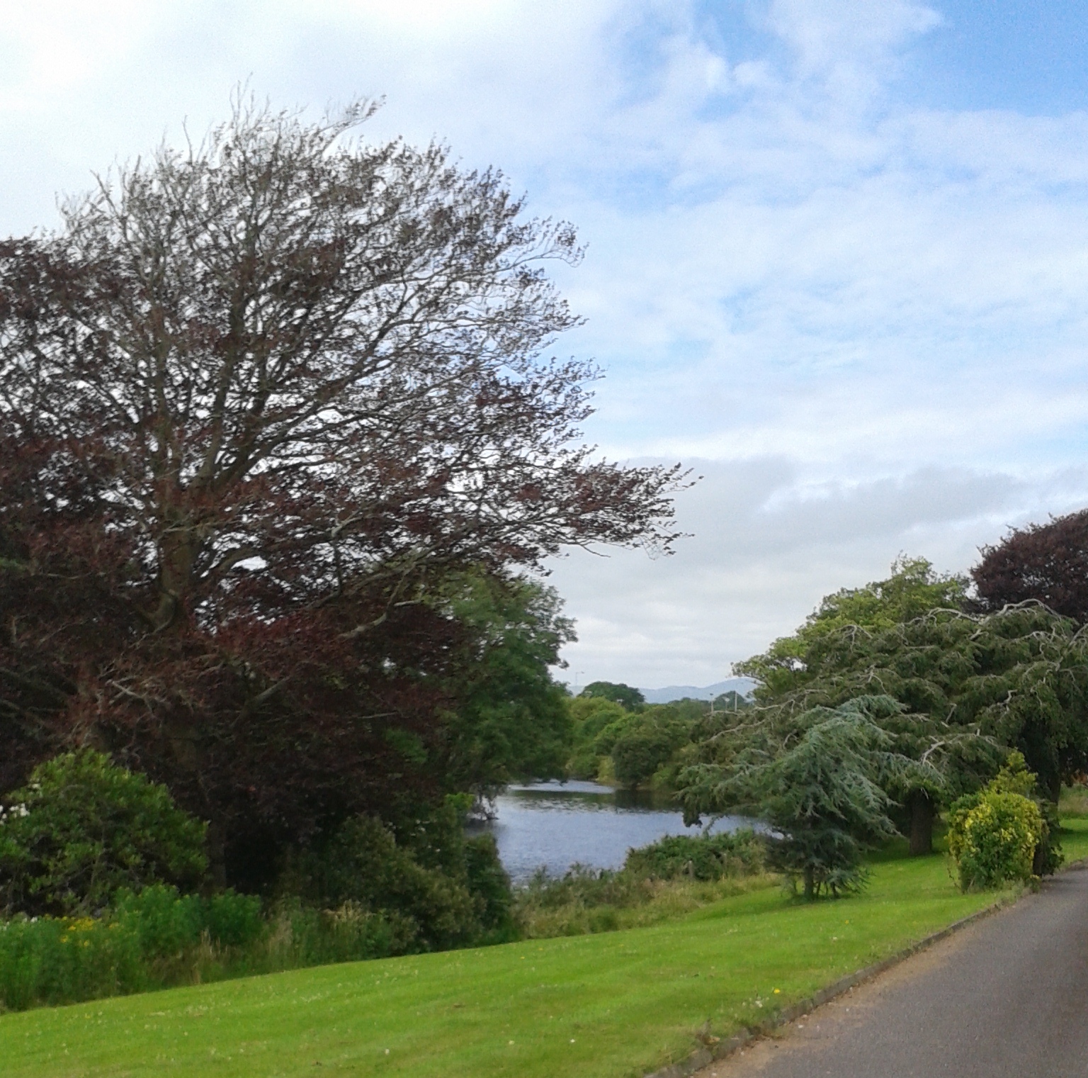 RIVER ILLEN - SKIBBEREEN